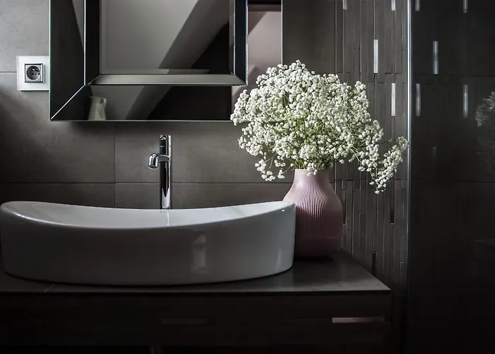 公寓 Kasztan 扎科帕内